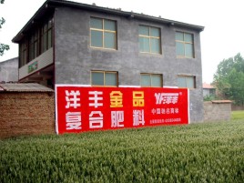 大竹如何让墙体广告展现最大化效果