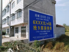 大竹墙体广告质量分析