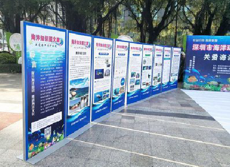 大竹KT板的种类和知识。